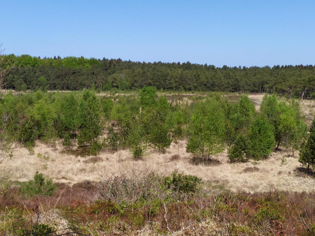 Lubberstedt Gaestehaus Hoelting מראה חיצוני תמונה